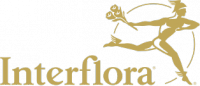 Opini&atilde;o  Interflora.pt